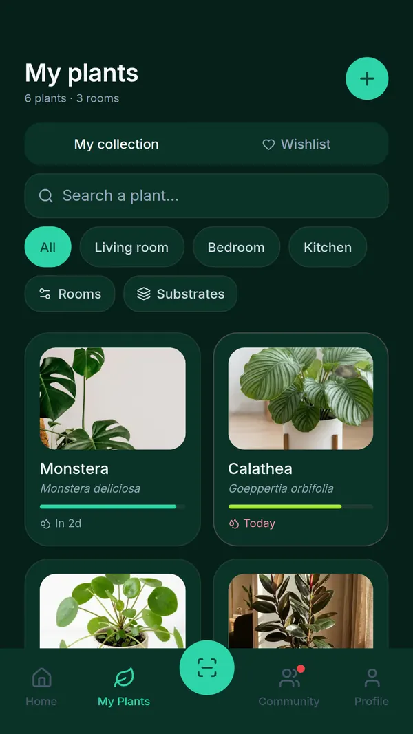 My Plants screen in SPRAIA: six plants sorted by room, with Living room, Bedroom and Kitchen filters and watering badges