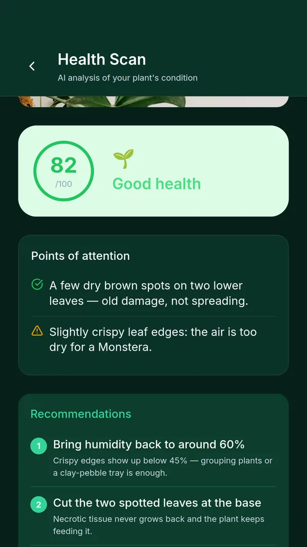 SPRAIA health scan result: a score of 82 out of 100, two points to watch and numbered recommendations